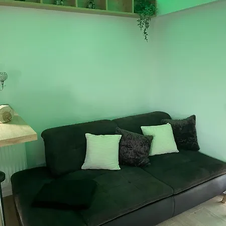 Pfalzkinder Apartment