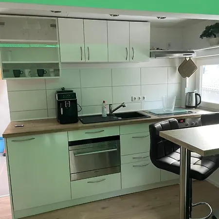 Pfalzkinder 公寓 *